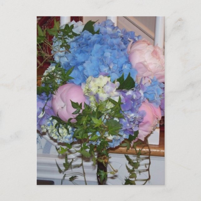 Carte Postale Pivoines bleues de rose d'hortensia (Devant)