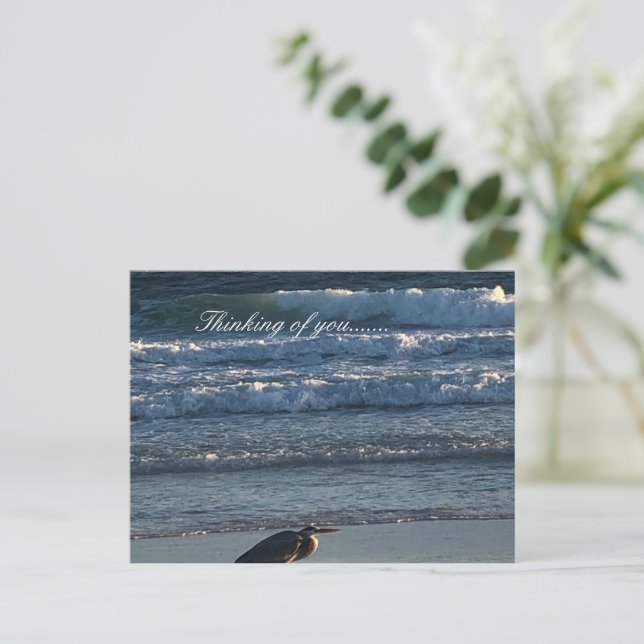 Carte Postale Plage (Debout devant)