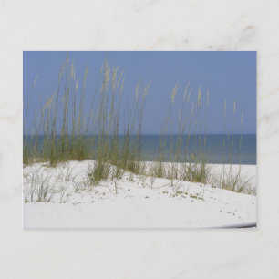 Carte Postale Plage