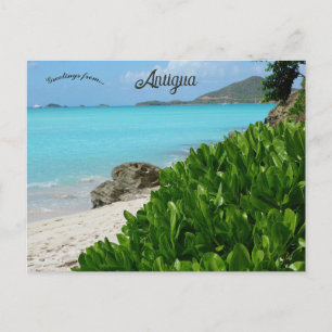 Carte Postale Plage à Antigua