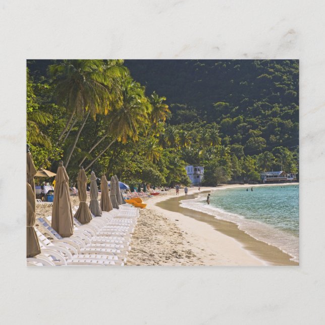 Carte Postale Plage à Cane Garden Bay, île de Tortola (Devant)