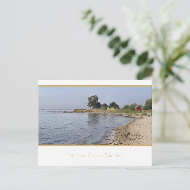 Carte Postale Plage à Stenåsa, Öland, Suède. (Debout devant)