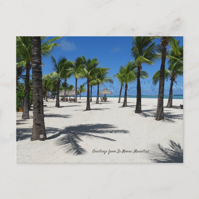 Carte Postale Plage au Morne, Maurice (Devant)