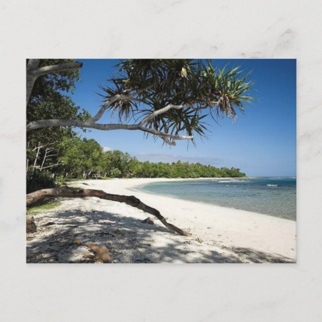 Carte Postale Plage australienne (Devant)