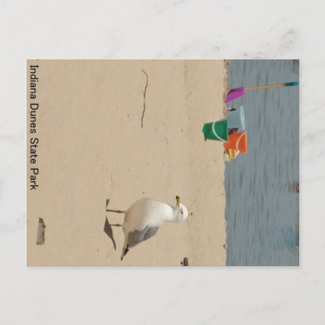 Carte Postale Plage Birdie (Devant)