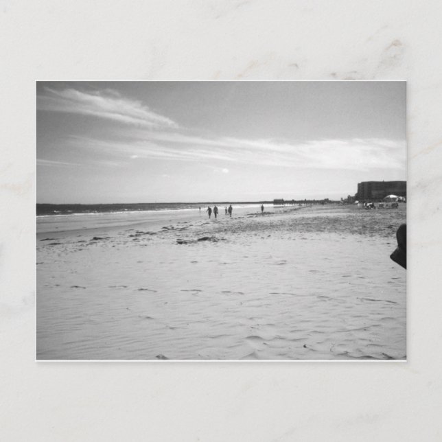 Carte Postale Plage Black & White Old Orchard (Devant)