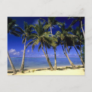 Carte Postale Plage bordée de palmiers Cook Islands 4