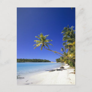 Carte Postale Plage bordée de palmiers Îles Cook
