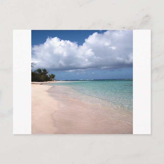 Carte Postale Plage Culebra de flamenco (Devant)