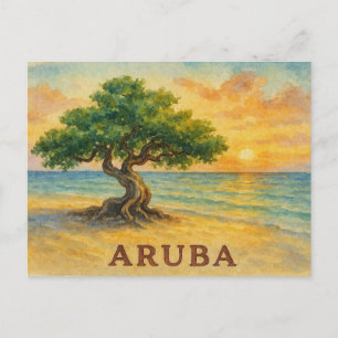 Carte Postale Plage d'Aruba Eagle Divi Tree à l'heure dorée