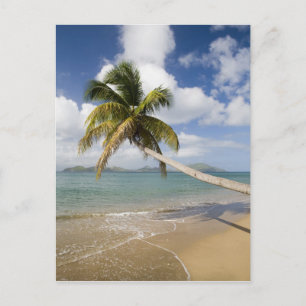 Carte Postale Plage de Coconut Grove à Cades Bay, avec St.