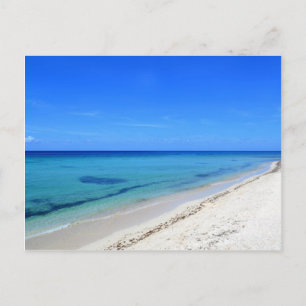 Carte Postale Plage de Cosumel Déserte Eau Turquoise Sable blanc