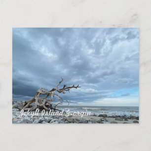 Carte Postale Plage de Driftwood