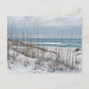 Carte Postale Plage de Floride Panhandle