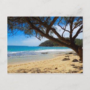Carte Postale Plage de Kauai