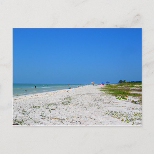 Carte Postale Plage de l'île de Sanibel (Devant)