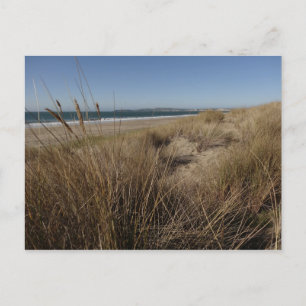 Carte Postale Plage de Limantour à Point Reyes II