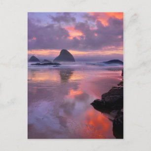 Carte Postale Plage de l'Oregon et piles de mer, coucher de sole