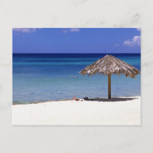 Carte Postale Plage de Malmok, Aruba, Antilles néerlandaises