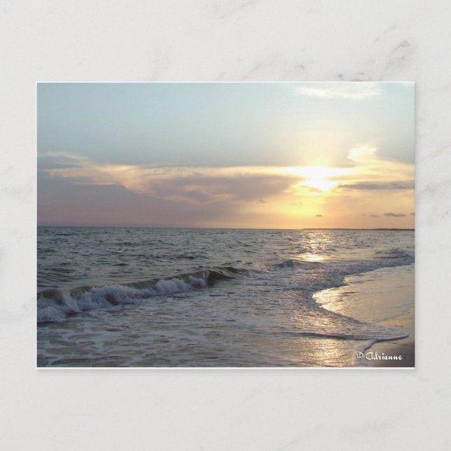 Carte Postale Plage de Mexico, Floride (Devant)