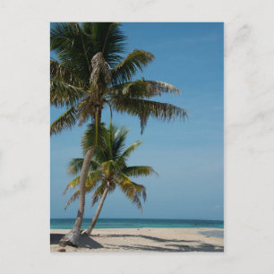 Carte Postale Plage de palmiers et de sable blanc