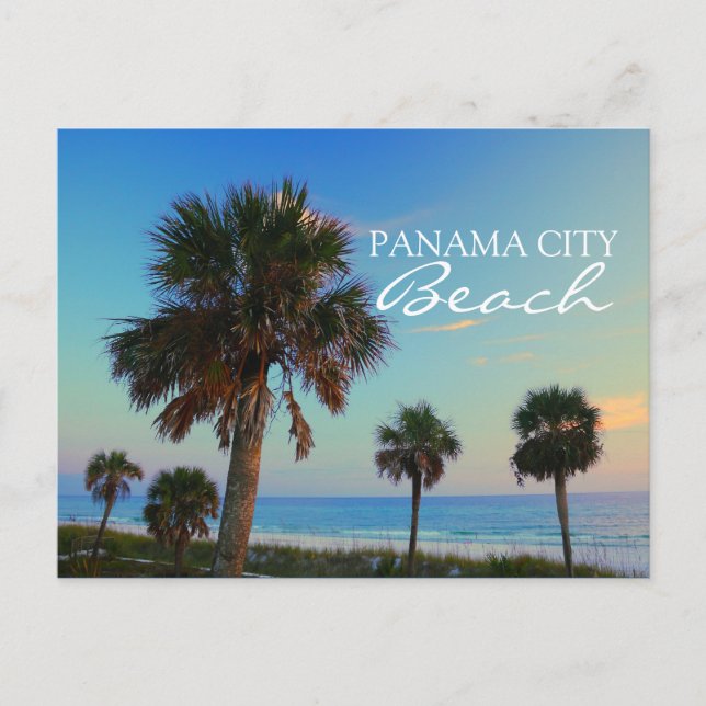Carte Postale Plage de Panama City, Floride Palmiers coucher de  (Devant)