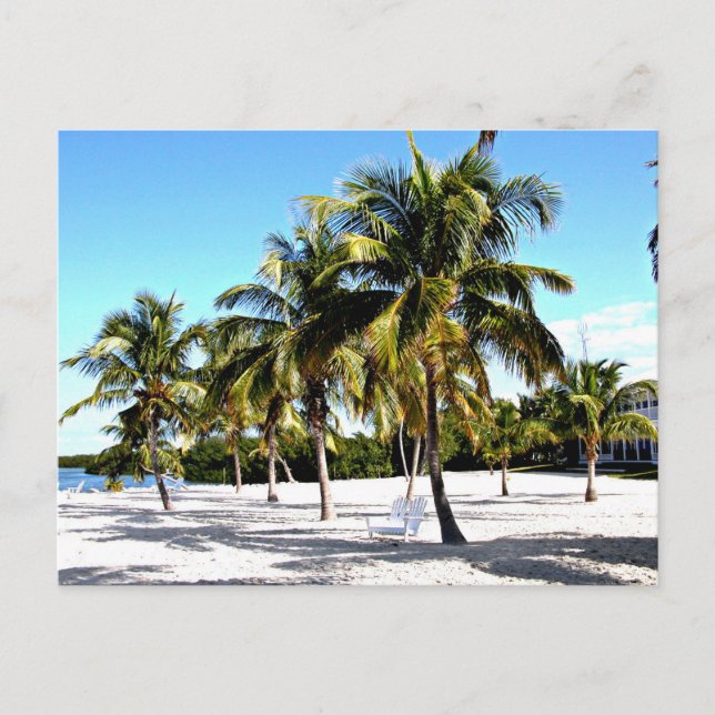 Carte Postale Plage de Pensacola (Devant)