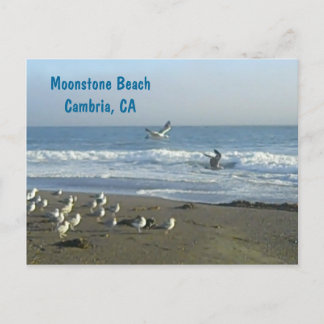 Carte postale : Plage de pierre de la lune,