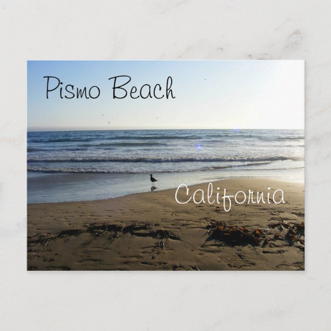 Carte Postale Plage de Pismo (Devant)