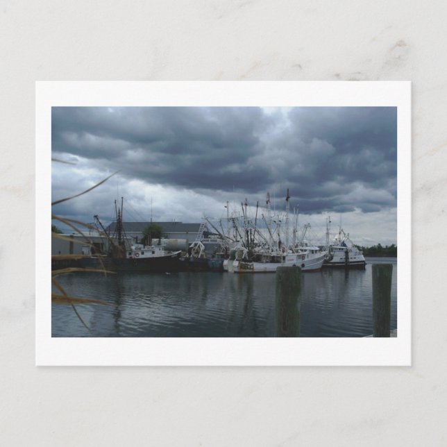 Carte Postale Plage de Point Agréable Bateaux de pêche (Devant)