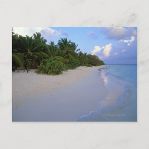 Carte Postale Plage de sable 7