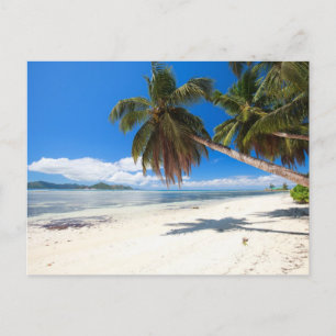 Carte Postale Plage de sable blanc