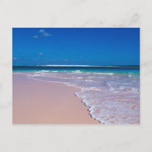 Carte Postale Plage de sable rose à Conch Bay, Cat Island,