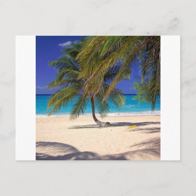 Carte Postale Plage de Seven Mile Grand Cayman (Devant)