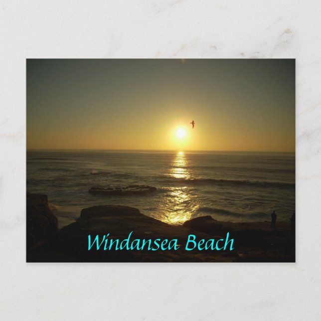 Carte Postale Plage de Windansea (Devant)