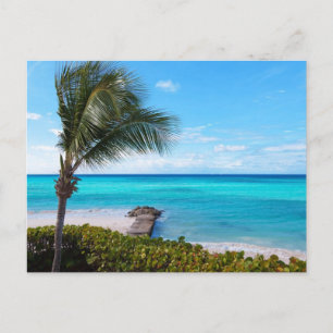 Carte Postale Plage des Caraïbes