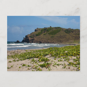 Carte Postale Plage déserte de la région des Caraïbes
