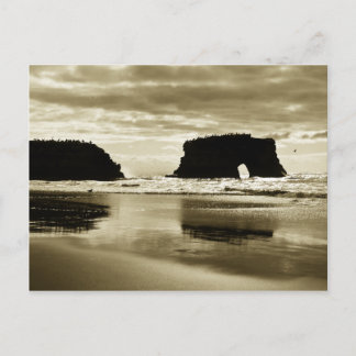 Carte Postale Plage d'état des ponts naturels