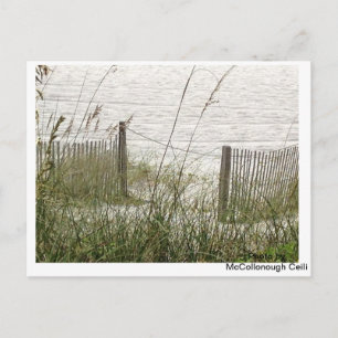 Carte Postale Plage d'herbe et de clôture