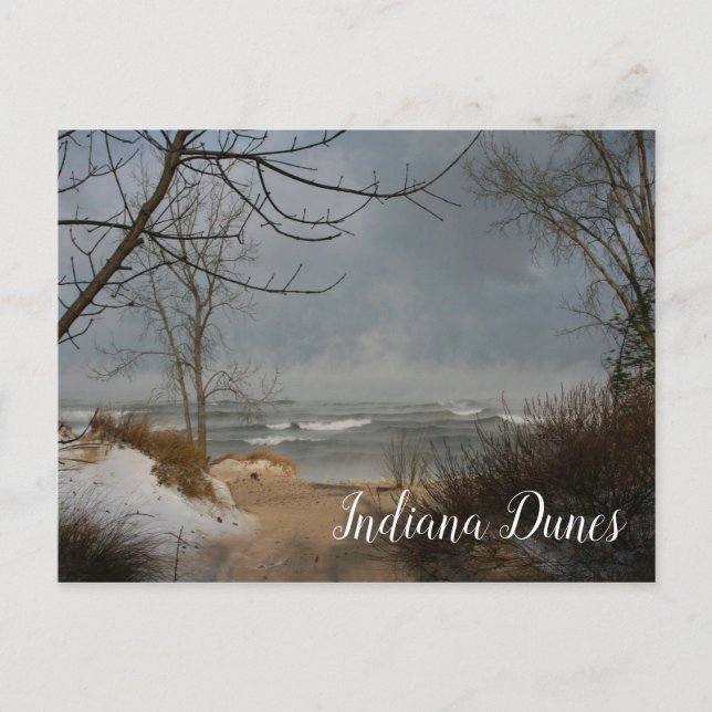 Carte Postale Plage d'hiver, Lac, Dunes de l'Indiana Ntl.Lakesho (Devant)