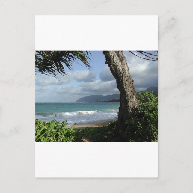 Carte Postale Plage d'Oahu (Devant)
