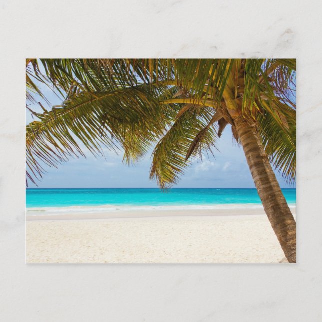 Carte Postale Plage du Paradis tropical (Devant)