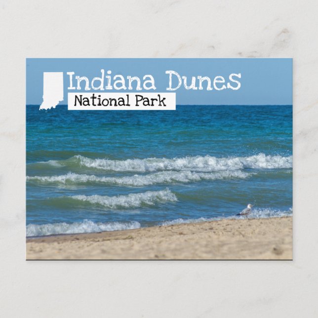 Carte Postale Plage du parc national des Dunes Indiana (Devant)