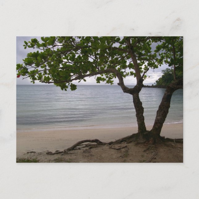 Carte Postale Plage Escondido (Devant)