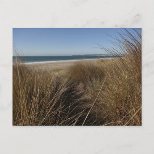 Carte Postale Plage Limantour à Point Reyes National Seashore I