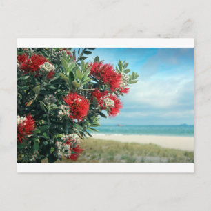 Carte Postale Plage paradisiaque de fleurs rouges Nouvelle-Zélan
