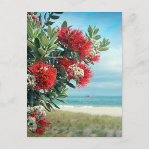 Carte Postale Plage paradisiaque de fleurs rouges Nouvelle-Zélan