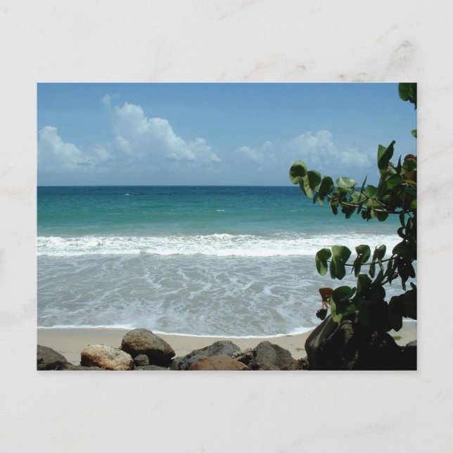 Carte Postale Plage (plage), Le Diamant - Martinique, FWI (Devant)
