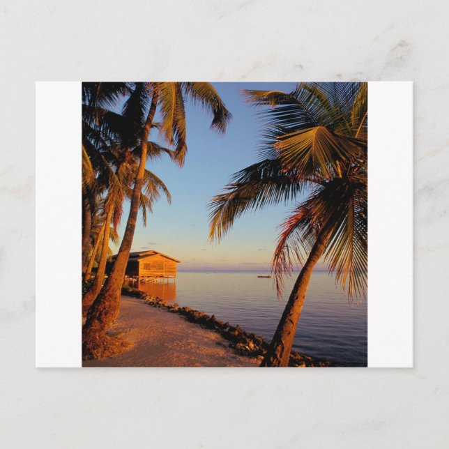 Carte Postale Plage Roatan Honduras (Devant)