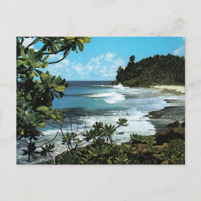 Carte Postale Plage tropicale (Devant)